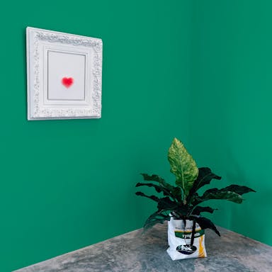 Vivid Green Paint Color #009F7C - vernice-wall-paint-interiors-vivid-green-10