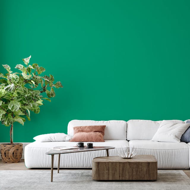 Vivid Green Paint Color #009F7C - vernice-wall-paint-interiors-vivid-green-6