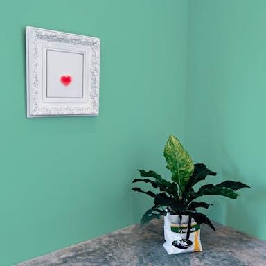 Verde Acqua Pittura #94D1B8 - vernice-wall-paint-interiors-water-green-10