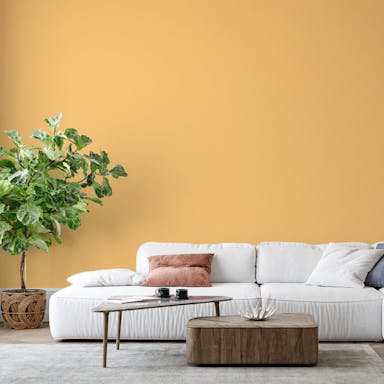 Yellow Orange Paint Color #F9CE84 - vernice-wall-paint-interiors-yellow-orange-6