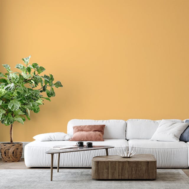 Yellow Orange Paint Color #F9CE84 - vernice-wall-paint-interiors-yellow-orange-6