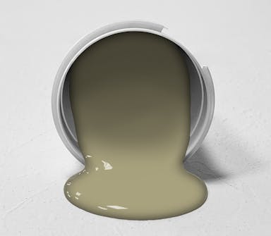 Mossy Hush Paint Color - wall-paint-color-vernice-bucket-sc-tt-006-mossy-hush
