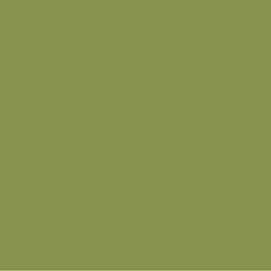 Military Green Paint Color #89934E - wall-paint-color-vernice-rc-greens-006-89934E