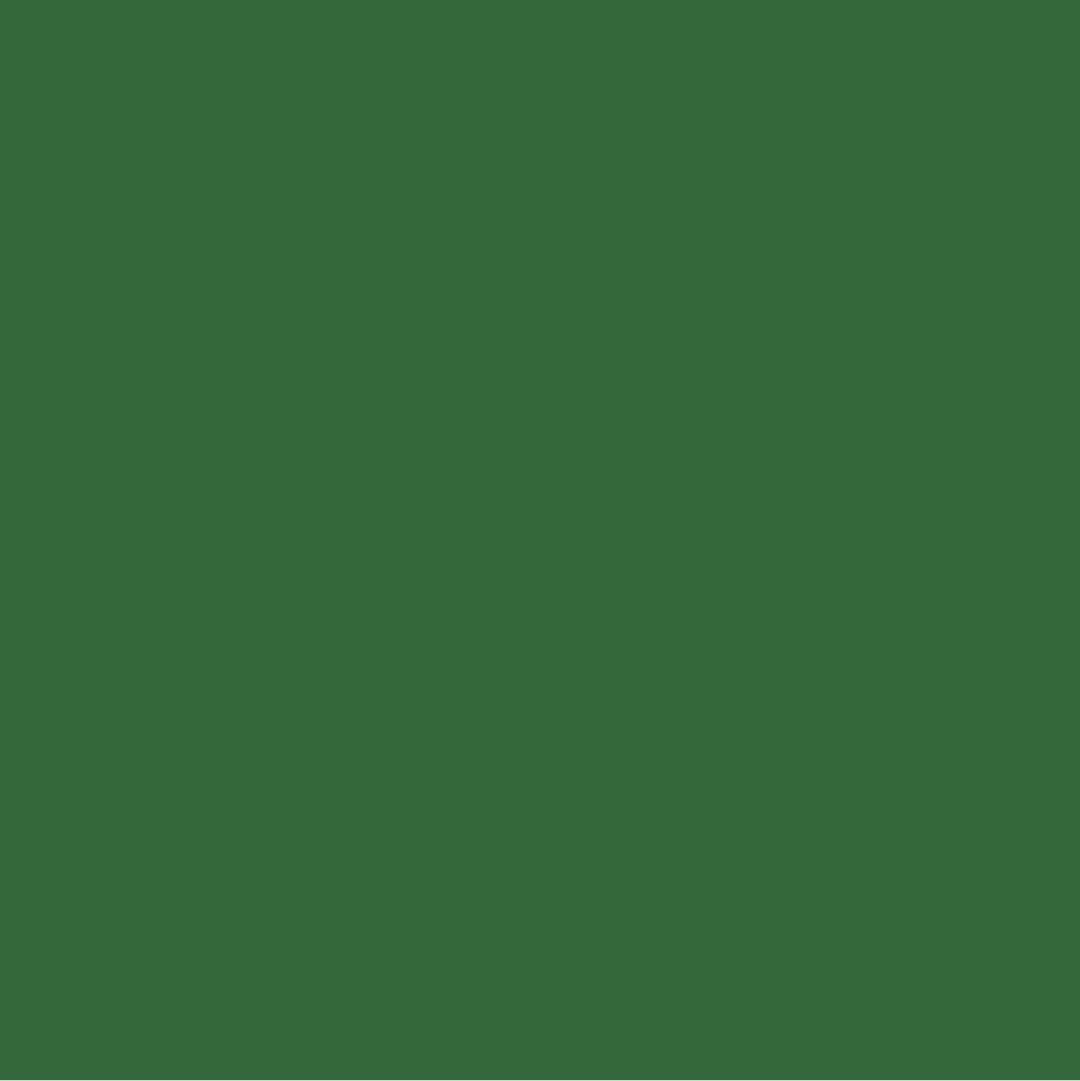 Pine Green Paint Color #44673E