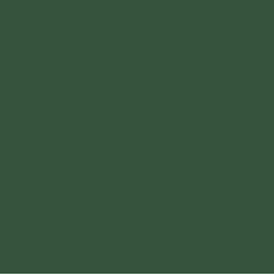 Dark Green Paint Color #36523E - wall-paint-color-vernice-rc-greens-008-36523E
