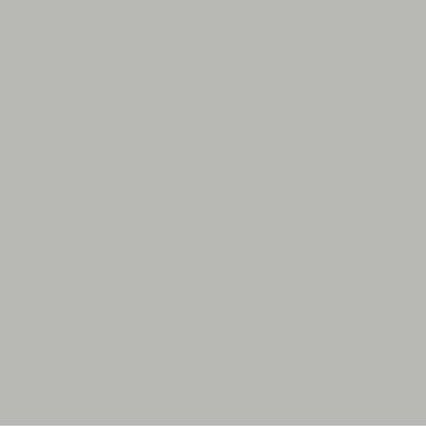Koala Grey Paint Color #BBBAB7 - wall-paint-color-vernice-rc-neutrals-009-BBBAB7