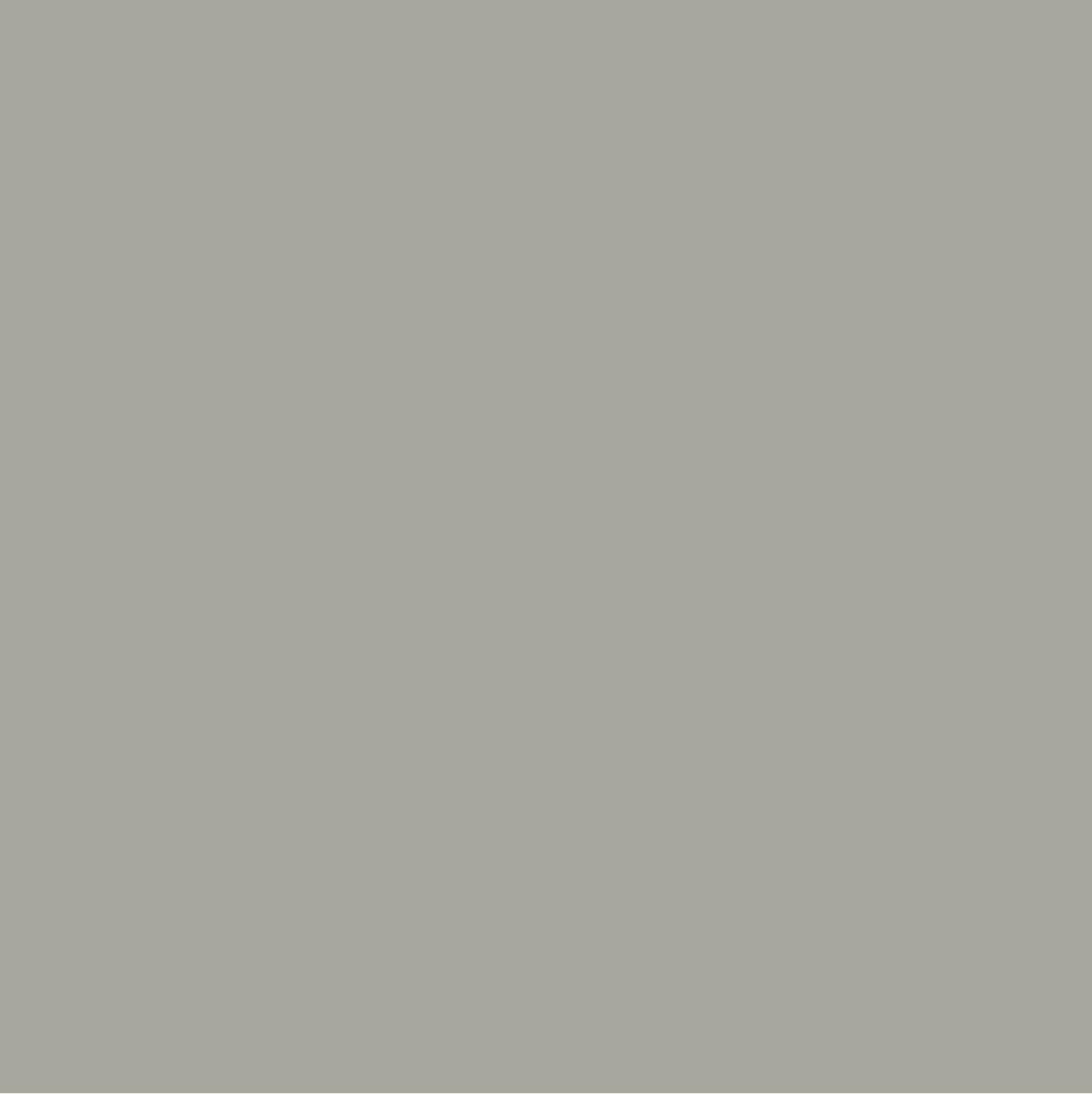Grey Dust Paint Color #A9A69F