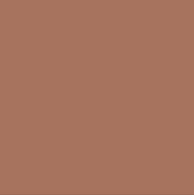 Light Brown Paint Color #A7725D - wall-paint-color-vernice-rc-reds-002-A7725D