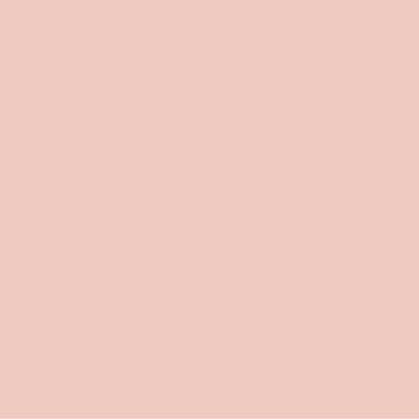 Pastel Pink Paint Color #F1CAC2 - wall-paint-color-vernice-rc-reds-005-F1CAC2