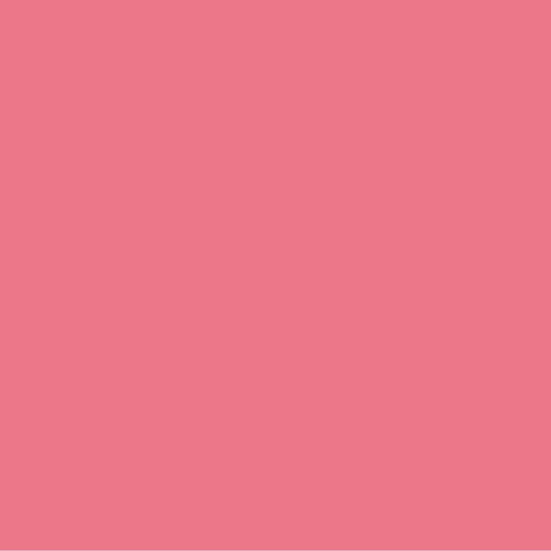 Dark Pink Paint Color #E9838C