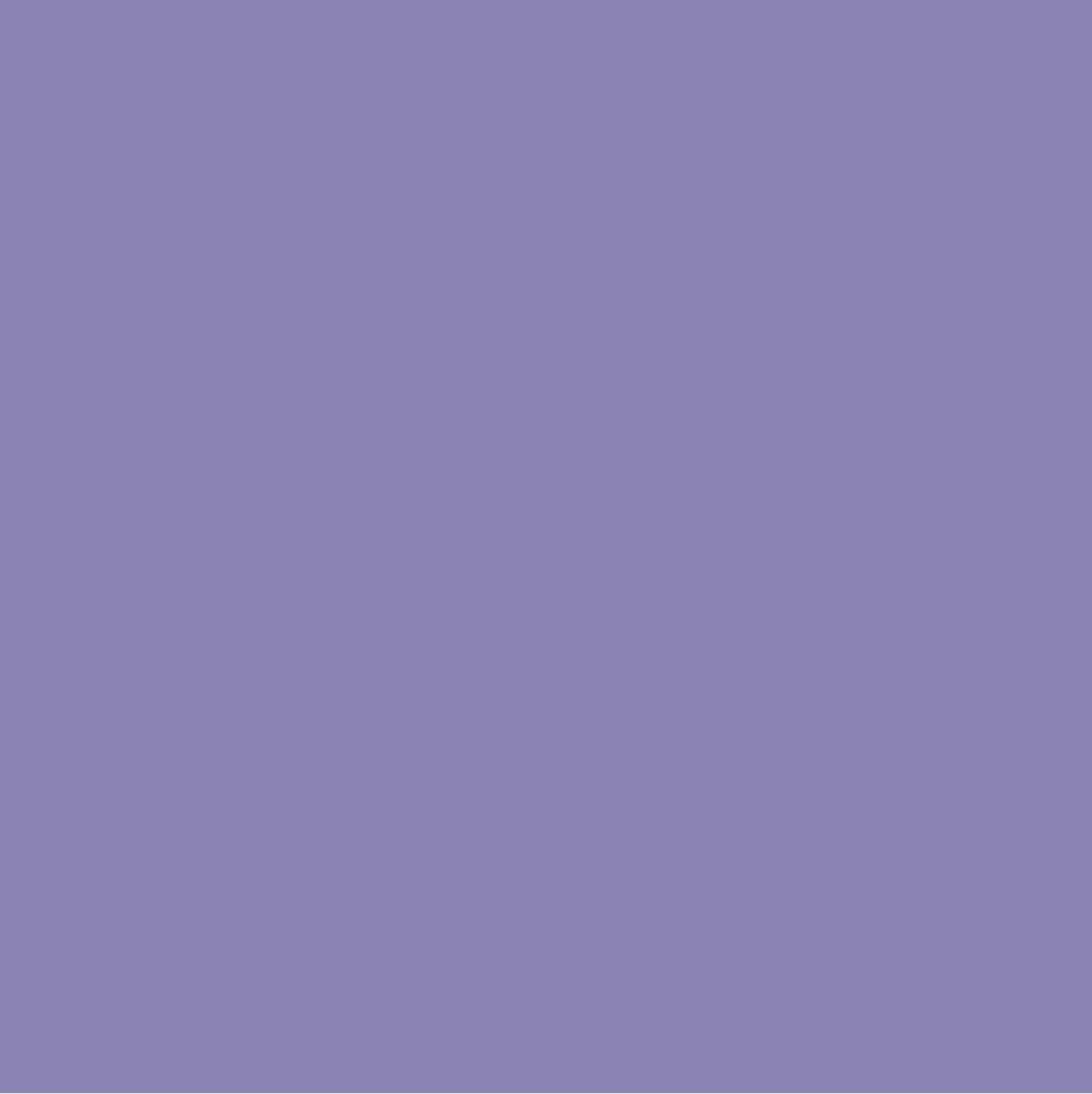 Purple Paint Color #8B85B5
