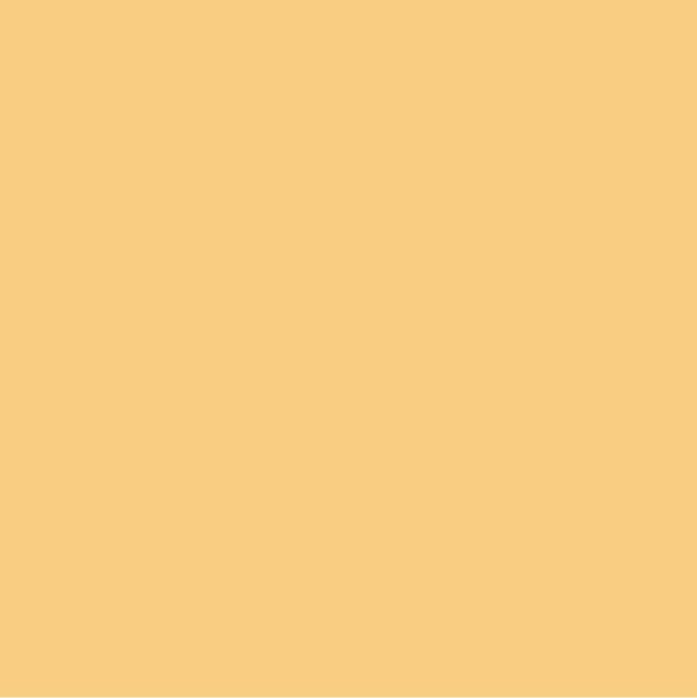 Yellow Orange Paint Color #F9CE84 - wall-paint-color-vernice-rc-yellows-002-F9CE84