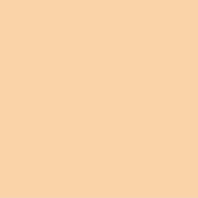 Light Apricot Paint Color #FBD4AC - wall-paint-color-vernice-rc-yellows-009-FBD4AC