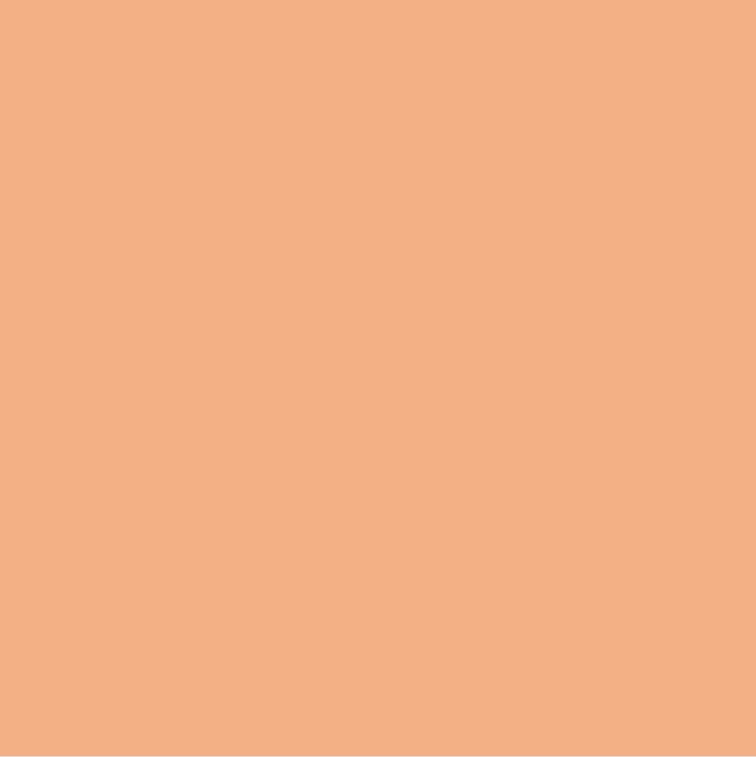 Arancione Sorbetto Pittura #FFB187