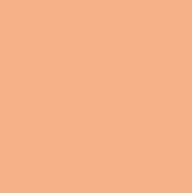 Orange Sorbet Paint Color #FFB187 - wall-paint-color-vernice-rc-yellows-012-FFB187