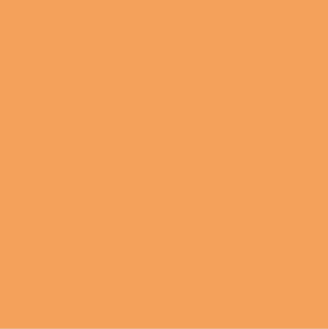Sunset Orange Paint Color #F9A15E