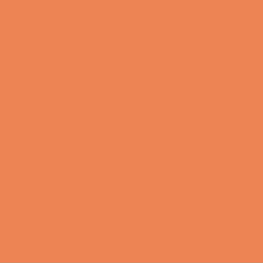 Hermete Pittura #F78552