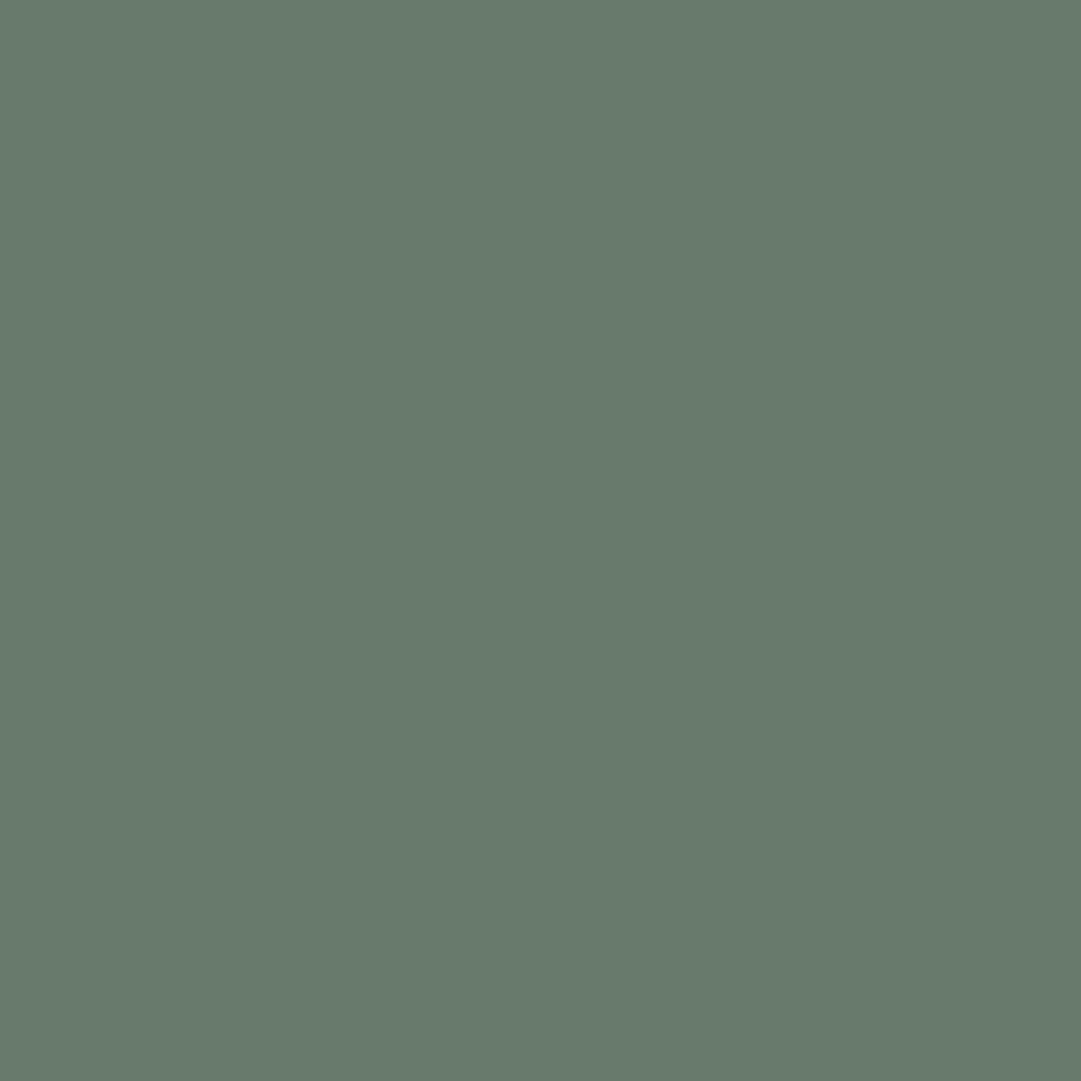 Mimetic Green Paint Color - wall-paint-color-vernice-ross60-clear-hues-mimetic-green