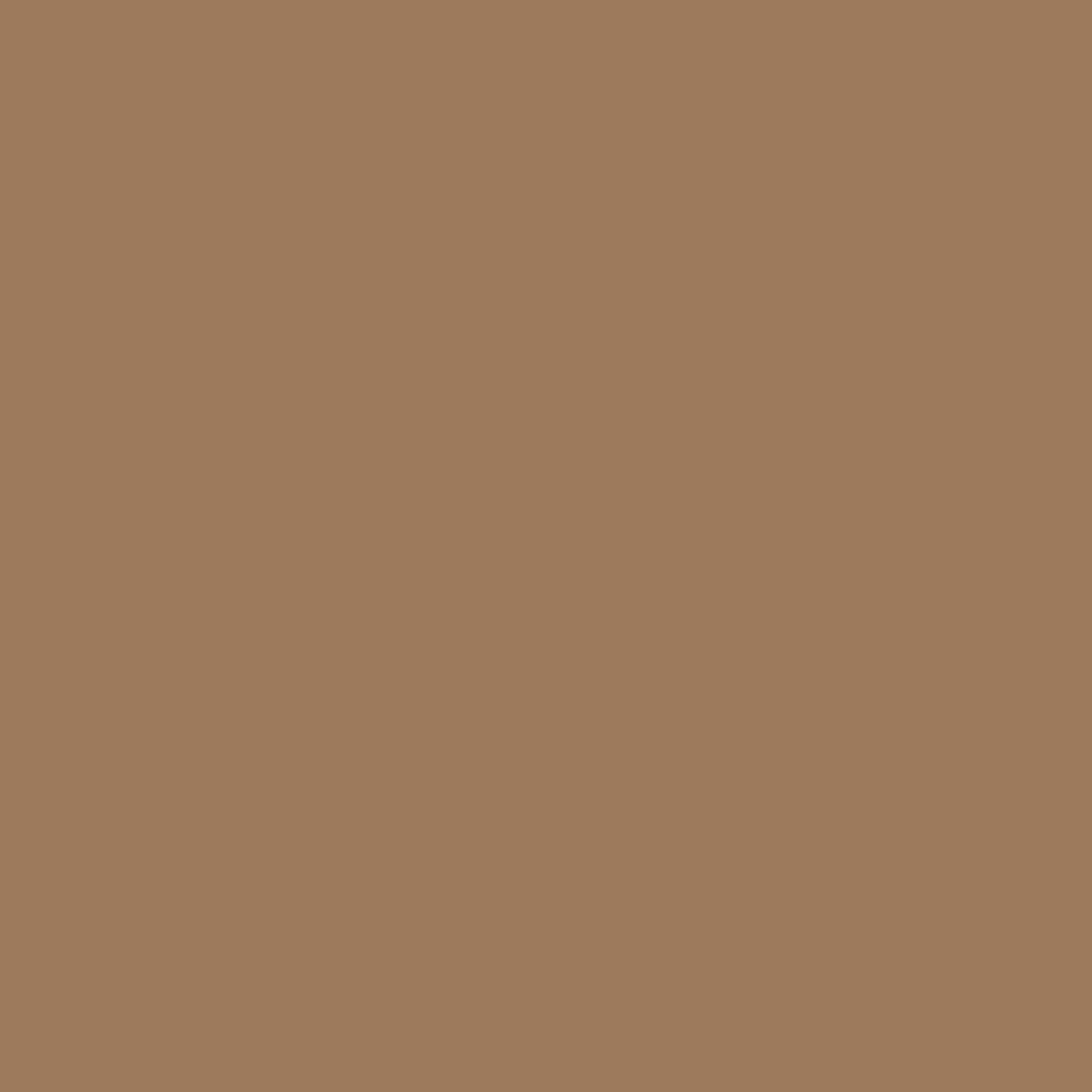 Coffee Milk Paint Color - wall-paint-color-vernice-ross60-dark-shades-coffee-milk
