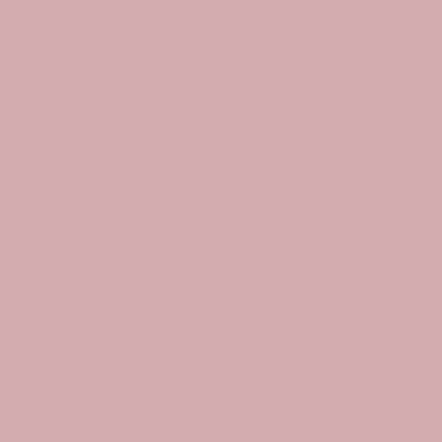 Chic Pink Paint Color - wall-paint-color-vernice-ross60-strong-pastel-chic-pink