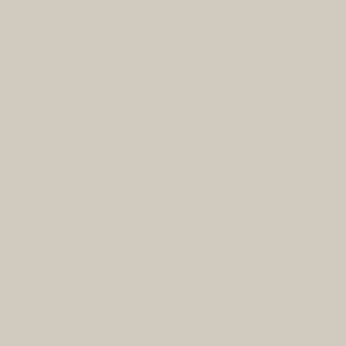 Light Dove Grey  Paint Color - wall-paint-color-vernice-ross60-strong-pastel-light-dove-grey