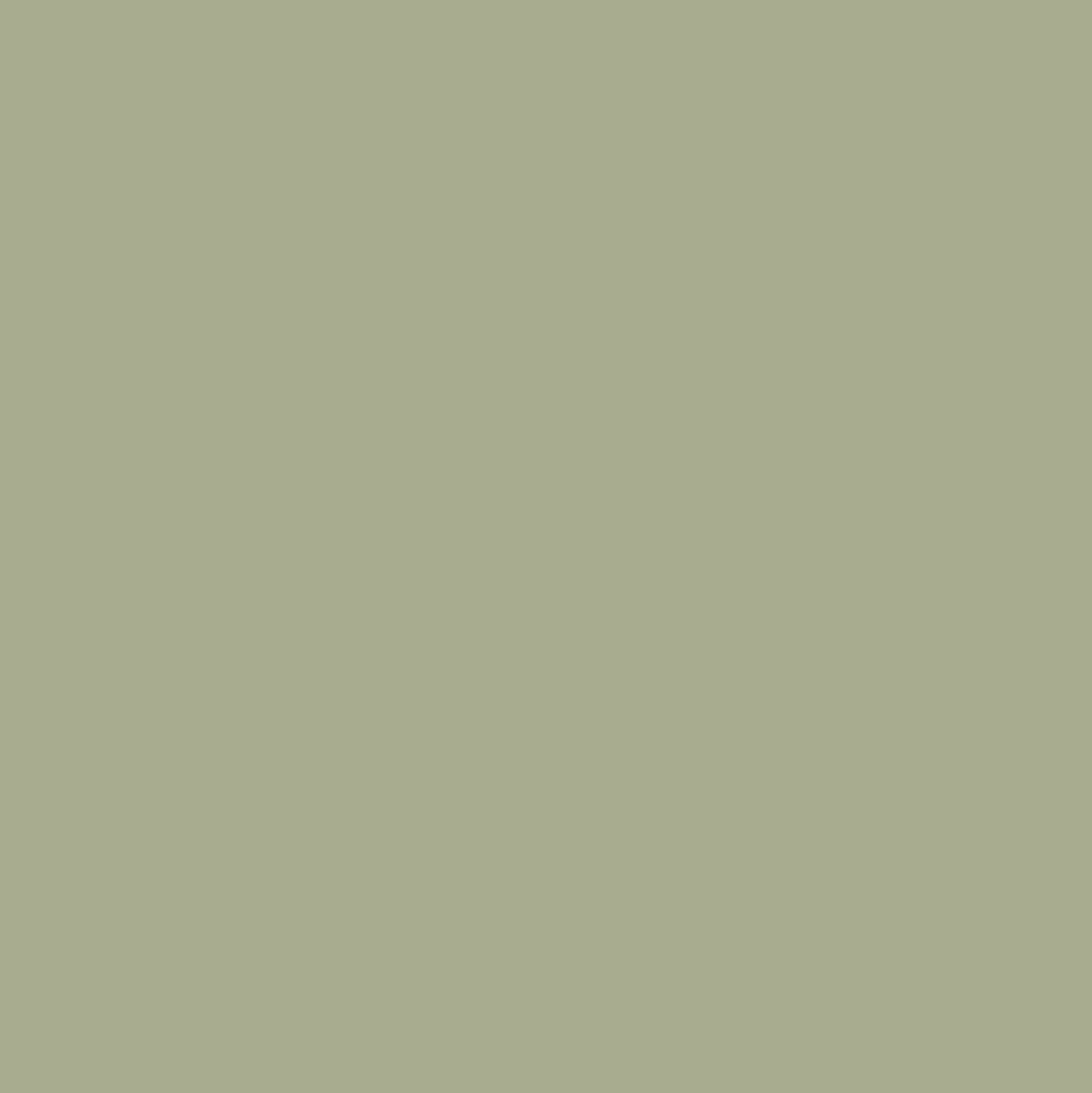 Tundra Green Paint Color